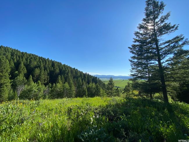 View of property view of mountains | Image 9