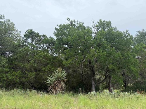 LT 27122 Hi Mesa, Horseshoe Bay, TX, 78657 | Card Image