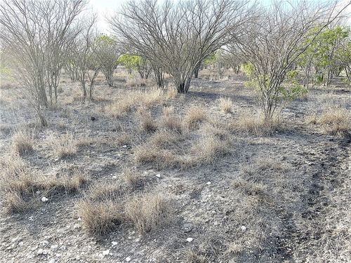 13538 Country Ln, Beeville, TX, 78102 | Card Image