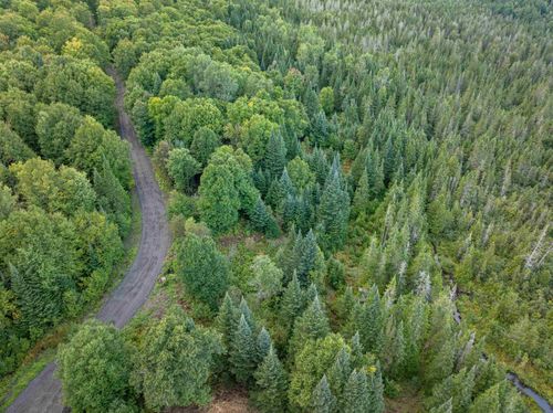 Lot 4 Wood Yard Crossing, Pittsburg, NH, 03592 | Card Image