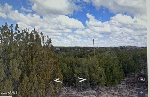 44-8546 Silver Creek Dr, Show Low, AZ, 85901-7045 | Card Image