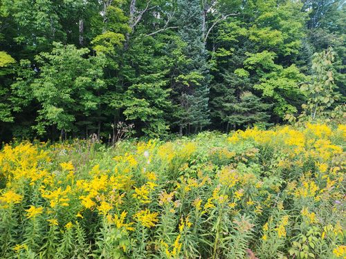 ON East Ln, Crandon, WI, 54520 | Card Image