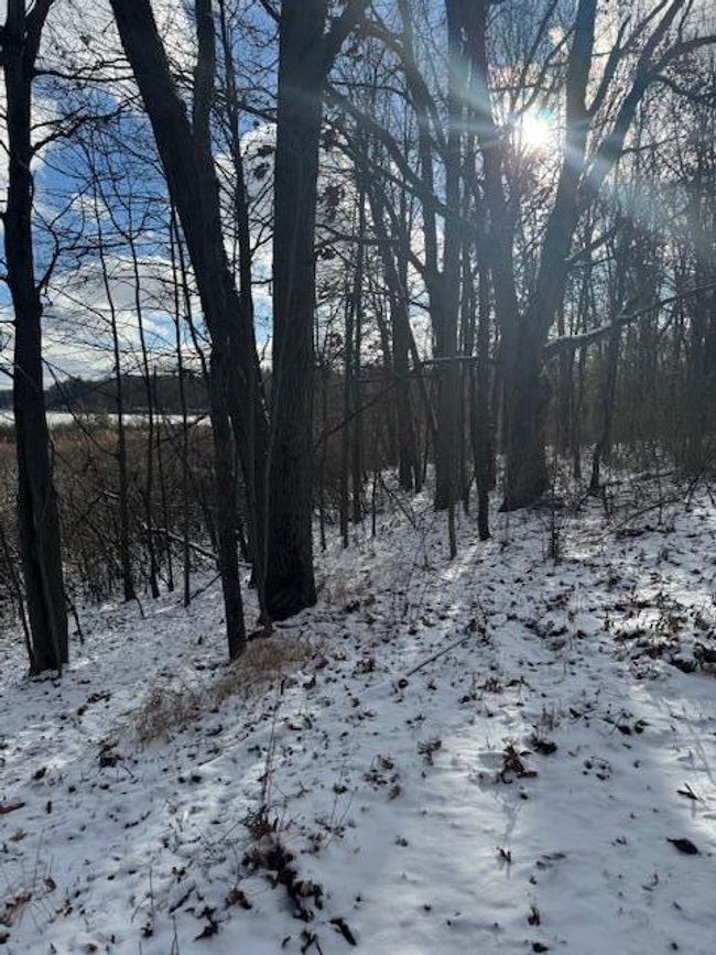 PARCEL-1 - V/L W Snows Lake Road, Home with 0 bedrooms, 0 bathrooms and null parking in Fenwick MI | Image 29
