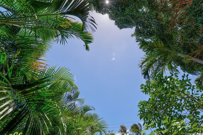59-439 Alapio Rd, Home with 0 bedrooms, 0 bathrooms and null parking in Haleiwa HI | Image 19
