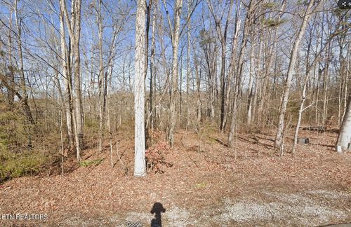 117 Chanusi Way, Loudon, TN, 37774-2556 | Card Image