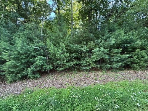 LOT 65 Lennox Pt, Blairsville, GA, 30512-2803 | Card Image