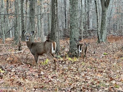 149 Mountain Top Road, Lackawaxen, PA, 18435 | Card Image