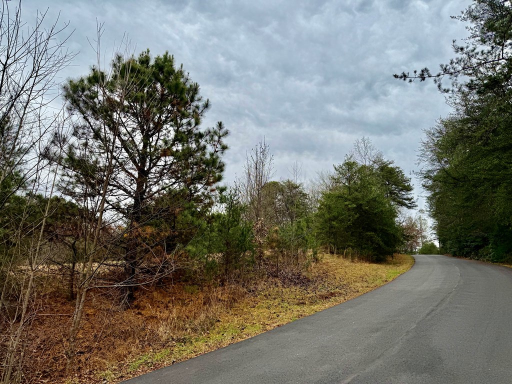Land in Franklin 5