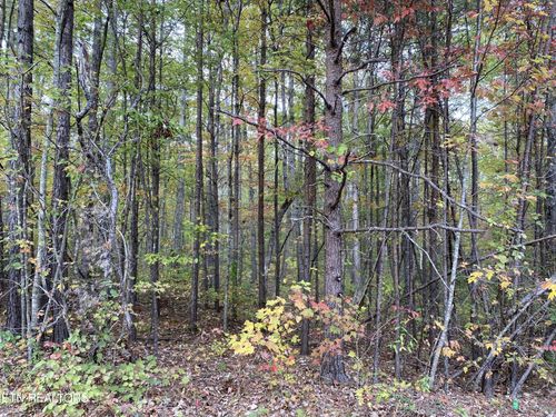 122 Acres Chuck Wagon Tr, Grimsley, TN, 38565 | Card Image