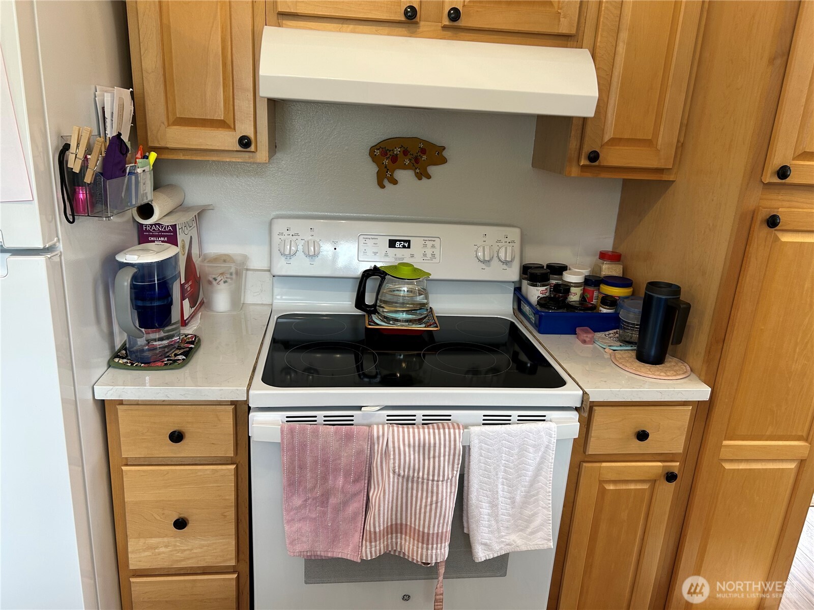 Residential in Steilacoom 3
