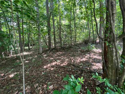 lot 3 Sautee Ridge Road, Home with 0 bedrooms, 0 bathrooms and null parking in Clarkesville GA | Image 1