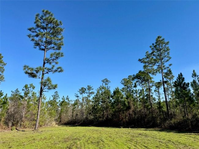 0 Robert White Rd, Home with 0 bedrooms, 0 bathrooms and null parking in Bay Minette AL | Image 30