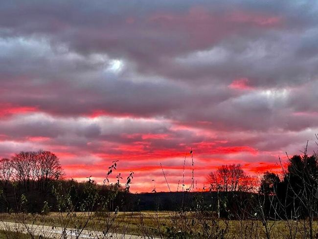 looking out back at the NORTHERN SKY | Image 61