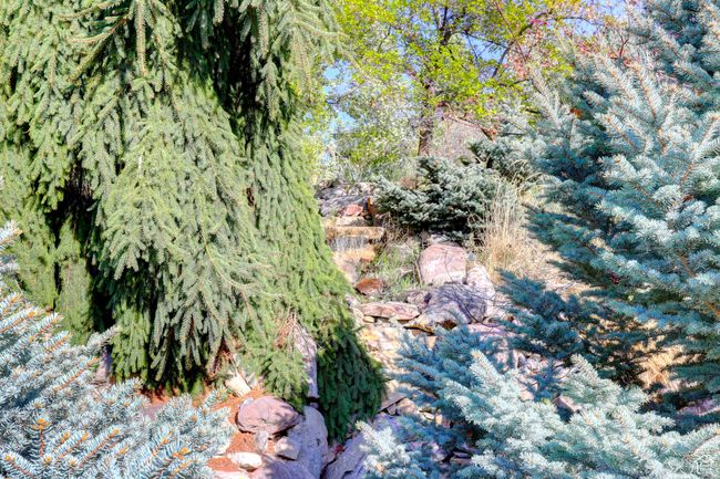 View of nature | Image 54