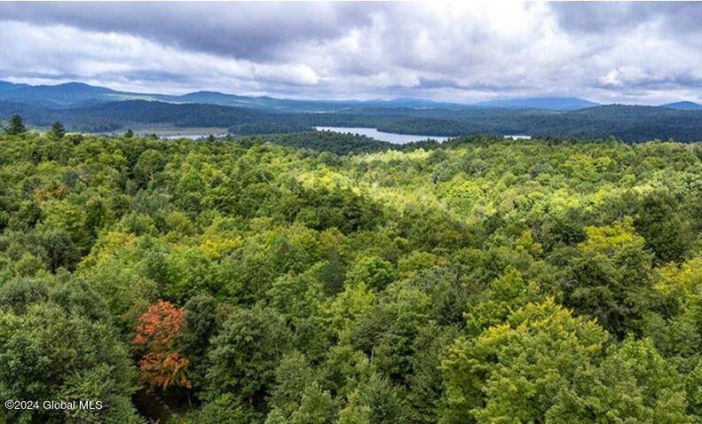Land in Saranac Lake 2