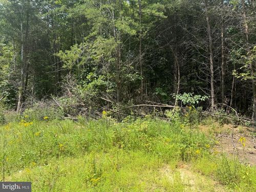 Lot 3 Buckners Ln, MINERAL, VA, 23117 | Card Image