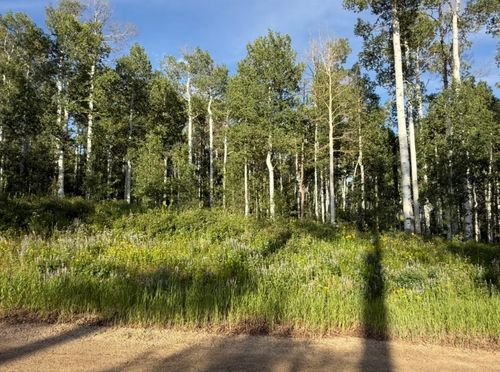 26320 Beaver Canyon Dr, Clark, CO, 80428 | Card Image