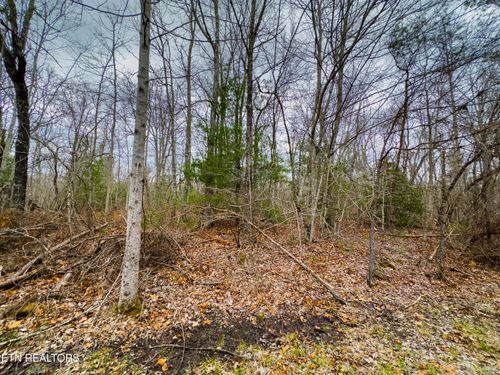 133 Thornhill Ln, Crossville, TN, 38558-8210 | Card Image