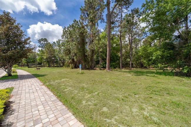 15902 Pendio Dr, Home with 0 bedrooms, 0 bathrooms and null parking in BELLA COLLINA FL | Image 10