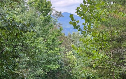 Lot 11 The Preserve, Brasstown, NC, 28902 | Card Image