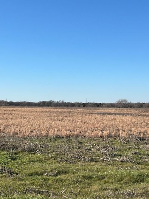 TBD County Road 1240, Savoy, TX, 75479 | Card Image