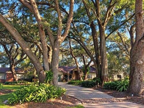 15211 Vinola Place, MONTVERDE, FL, 34756 | Card Image