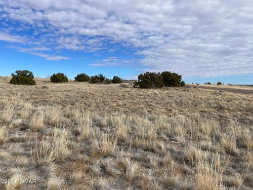 TBD W Indian Village Rd, Taylor, AZ, 85939 | Card Image