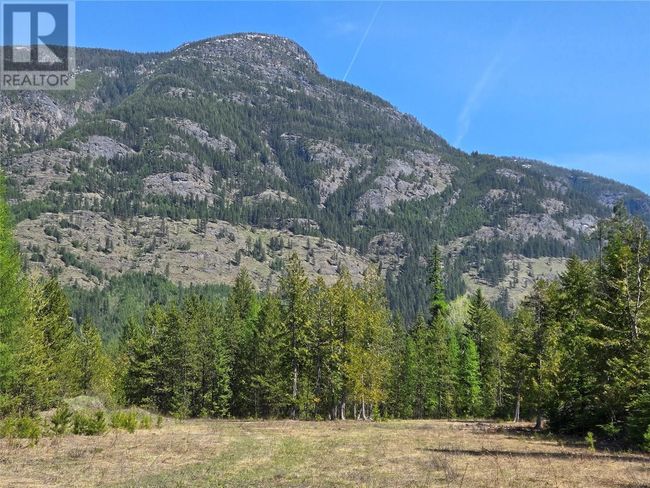 3809 Passmore Upper Rd, Home with 0 bedrooms, 0 bathrooms and null parking in Passmore BC | Image 14