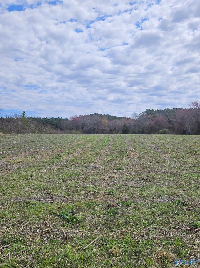 13.5 Acres County Road 687, Home with 0 bedrooms, 0 bathrooms and null parking in Henagar AL | Image 8