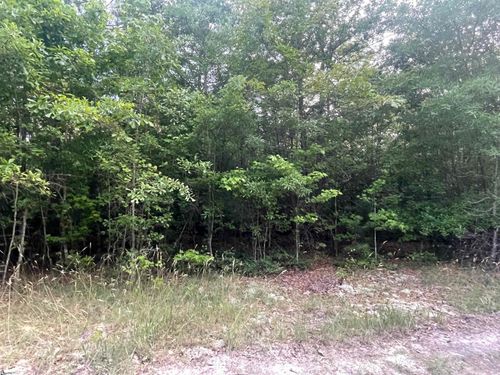 lot-8-00 Conner Road, Hodges, SC, 29653 | Card Image