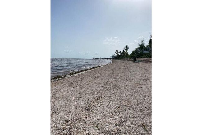Beach | Image 4