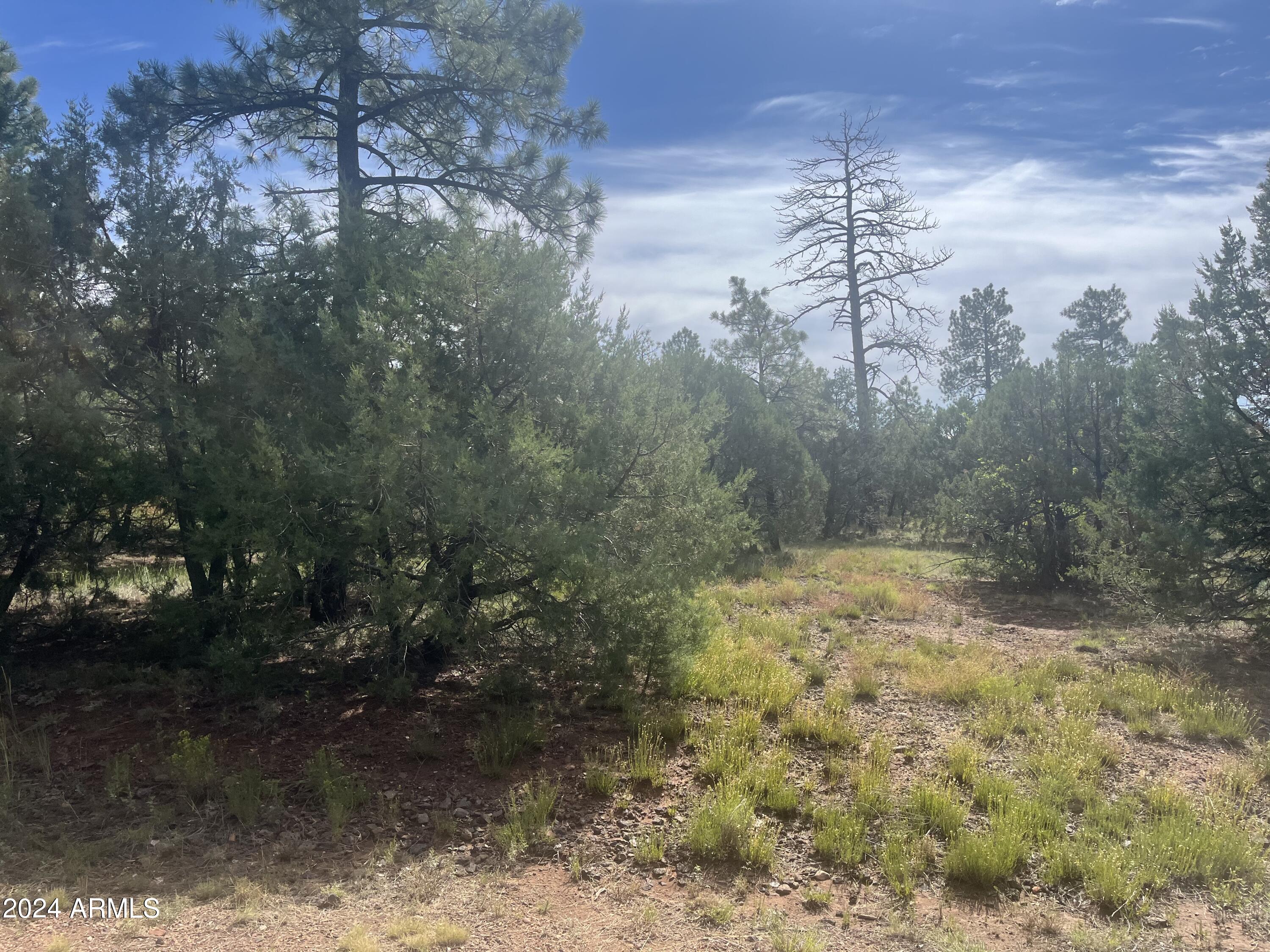 Land in Lakeside 3