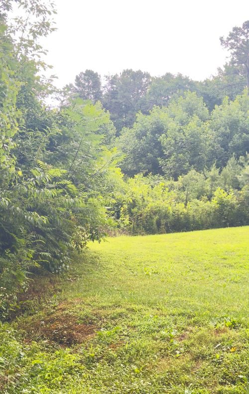 1111 Whitley St, London, KY, 40741 | Card Image