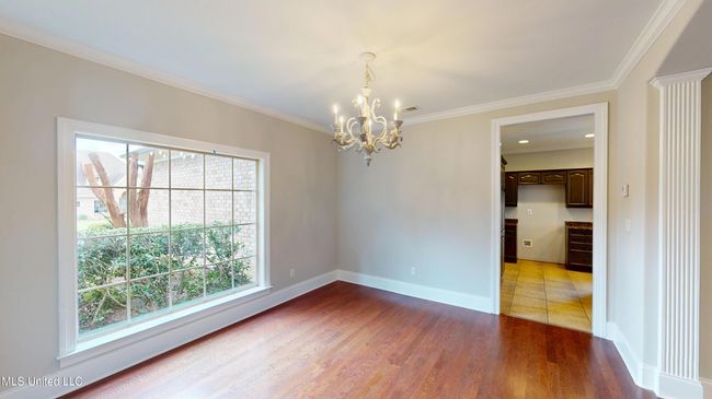 1377-Notting-Hill-Loop-07112025_011120 | Image 22