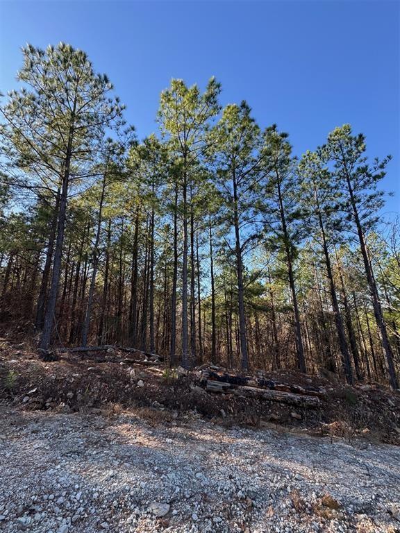 Land in Broken Bow 2