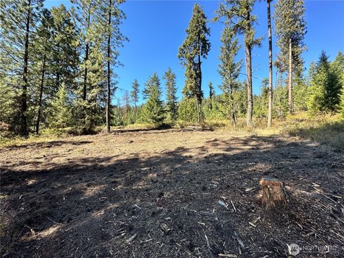lot-1-1 Deadman Creek Rd, Kettle Falls, WA, 99141-9595 | Card Image