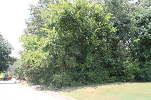 Lot 22 Huntington Ln, Tuscumbia, AL, 35674 | Card Image