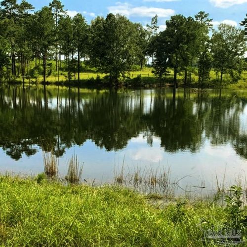 9023 County Road 34, Millry, AL, 36558-5608 | Card Image