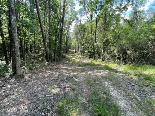 420 Se River Rd Drive, Bogue Chitto, MS, 39629 | Card Image