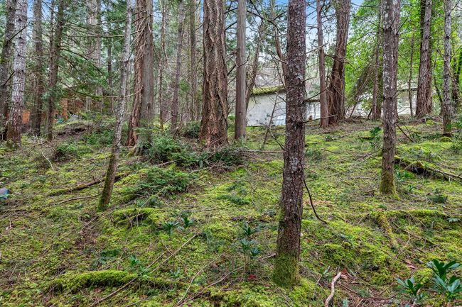 282 Laura Point Road, House other with 2 bedrooms, 1 bathrooms and null parking in Mayne Island BC | Image 3