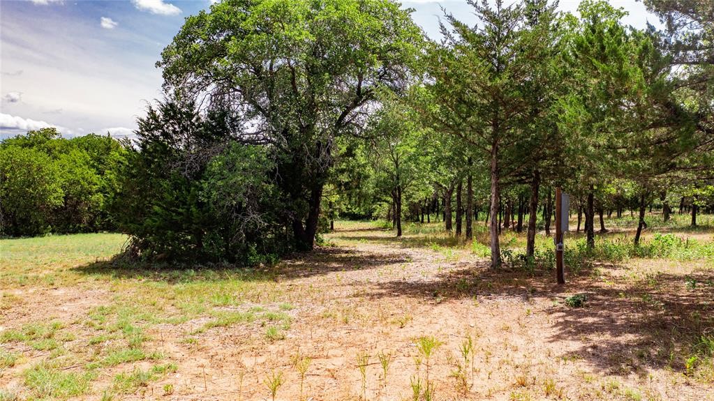 Land in Alvord 5
