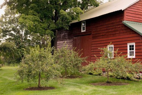 421 Tamarac Rd, Troy, NY, 12180-9687 | Card Image