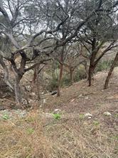Land in Lago Vista 3