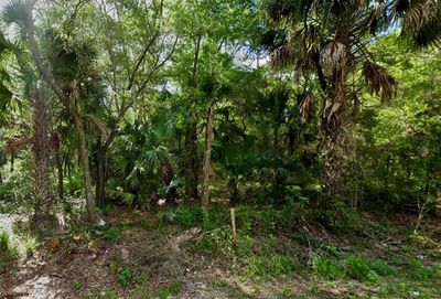 Se 167 Court, Home with 0 bedrooms, 0 bathrooms and null parking in Ocklawaha FL | Image 1