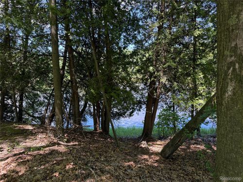 19672 Indian Drive Drive, Green Charter Township, MI, 49338 | Card Image