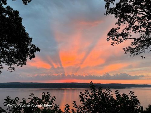 135 Spumante Ln, Counce, TN, 38326-4503 | Card Image