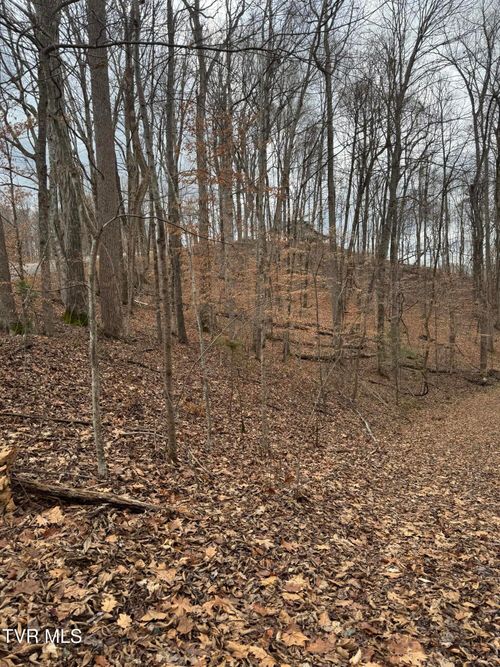 0 Golf Course Rd, Unicoi, TN, 37692 | Card Image