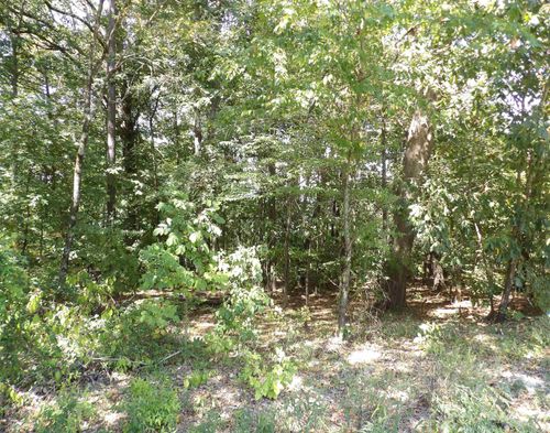 Lot 36 Glenwood Drive, Monticello, AR, 71655 | Card Image