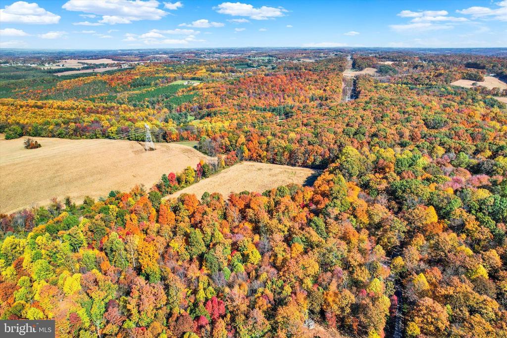 Land in WESTMINSTER 5
