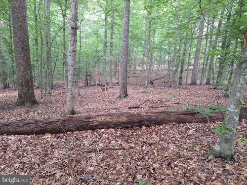 0 Albano Rd, BARBOURSVILLE, VA, 22923 | Card Image